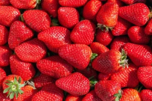 Aardbeien op Brood